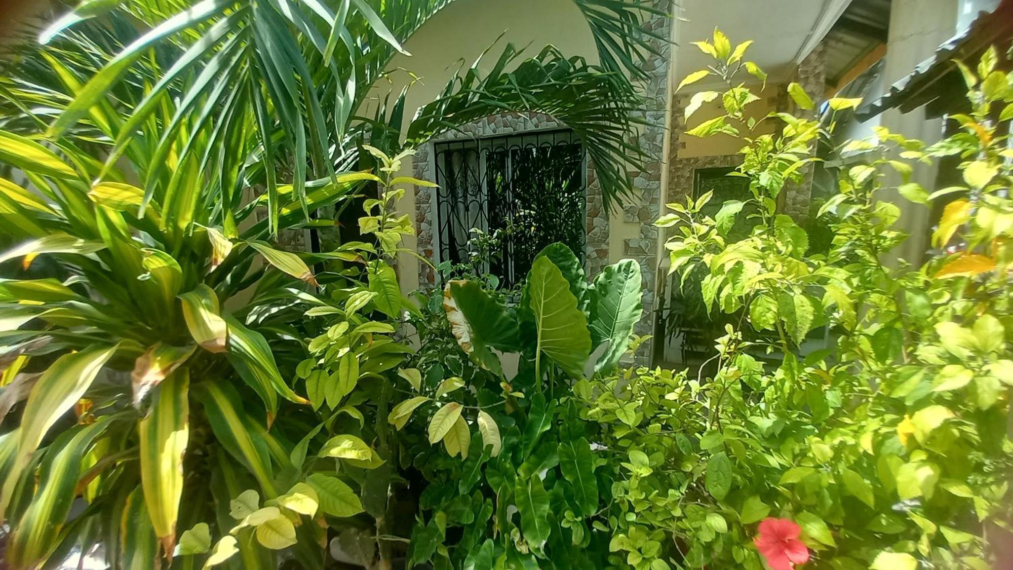 Mount Zion Guest House, Mtwapa Mtomondoni Mombasa Eksteriør billede