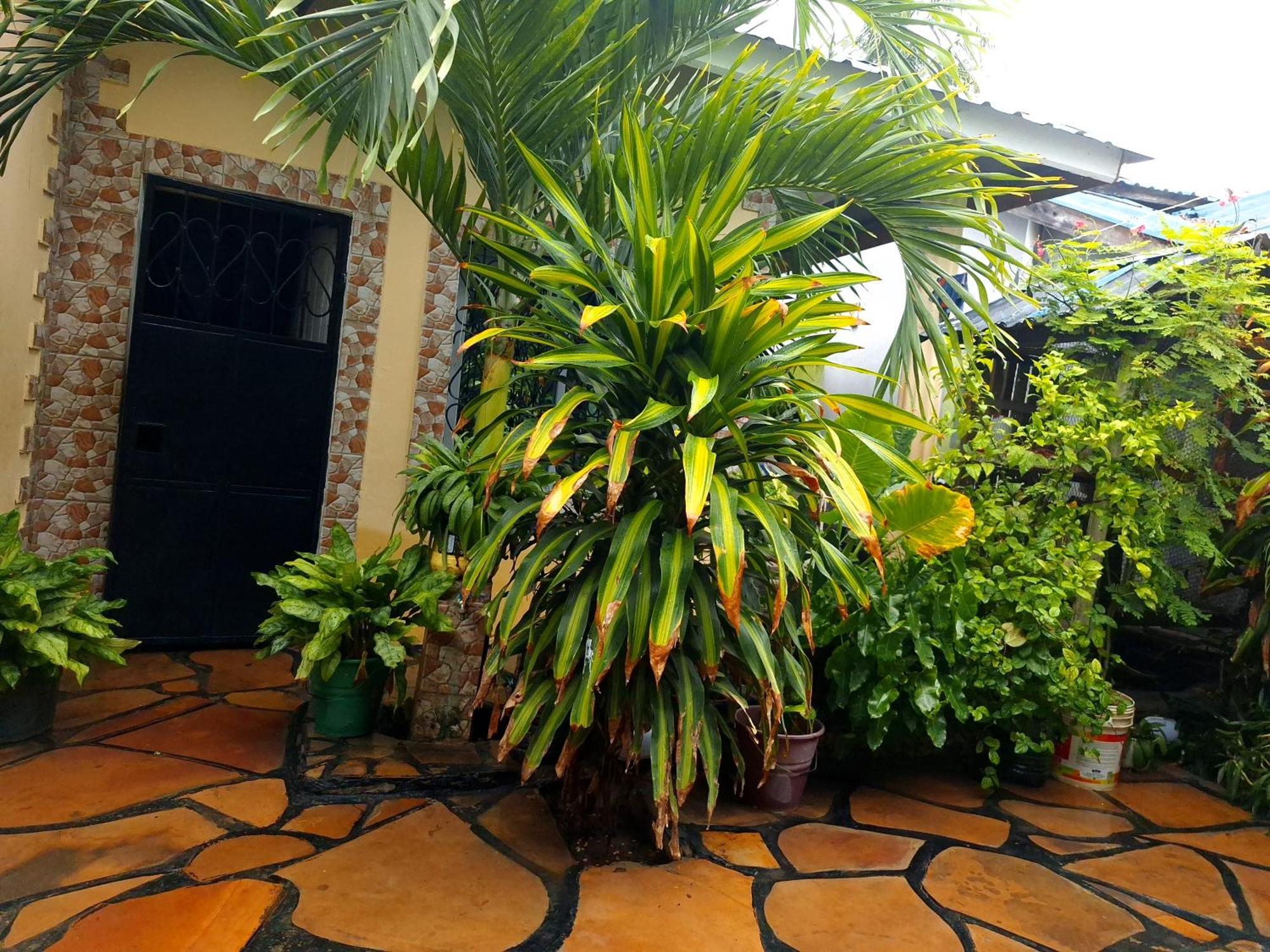 Mount Zion Guest House, Mtwapa Mtomondoni Mombasa Eksteriør billede